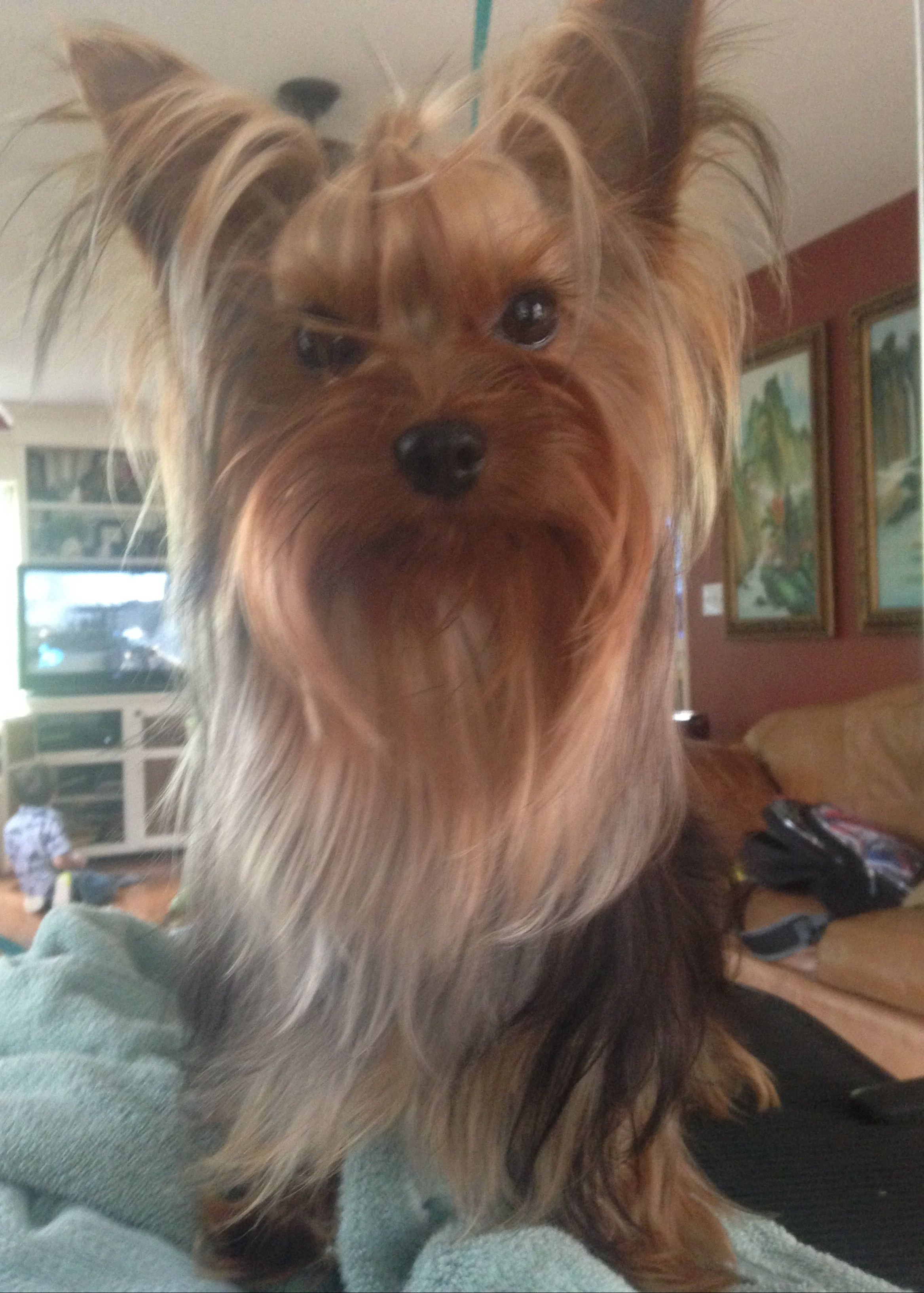 195B5244-0D00-4191-A684-183777659874