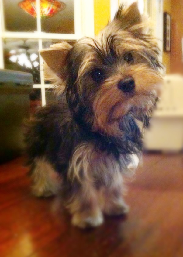 75405CE6-26BF-4377-8C43-D8F841FC9E0A