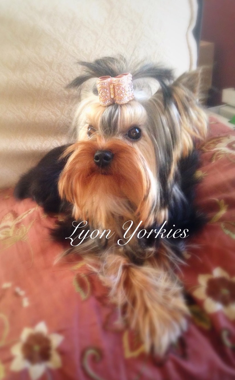 8435B38A-EBBD-4B83-A7BA-E735E7179A00